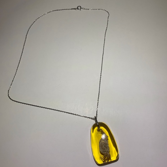 Natural Amber Silver 925 Necklace w/ real crab - Picture 2 of 6